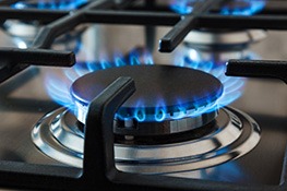 imgi_44_burnerflame